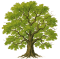 Compagnie de l'hêtre
